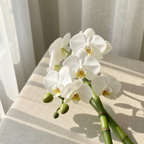 Composition zen pour faire-part de mariage avec orchidée blanche et tiges de bambou, lumière douce du matin et textures sur tissu clair.